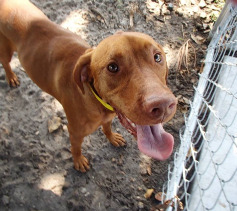 Tails-A-Waggin Animal Hospital - Fort Myers, FL