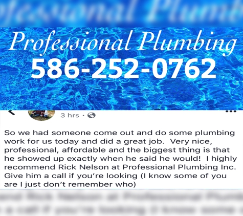 PRO. PLUMBING - Saint Clair Shores, MI