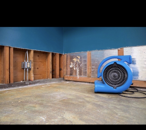 Drytech restoration Water Damage & MOLD Remediation - Melbourne, FL. Mold and water Remediation experts