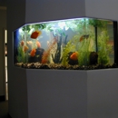 LA Home Aquariums - Aquariums & Aquarium Supplies