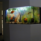LA Home Aquariums