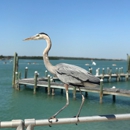 Kingfish Wharf Corp - Restaurants