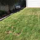 Clean Cut Landscape & Design - Fertilizing Services