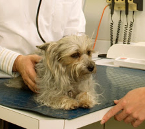Walker Veterinary Hospital - Stockton, CA. Animal Clinic Stockton, CA 95210