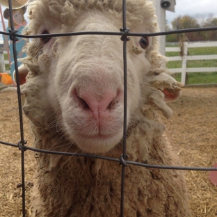 Three Cedars Farm - Northville, MI