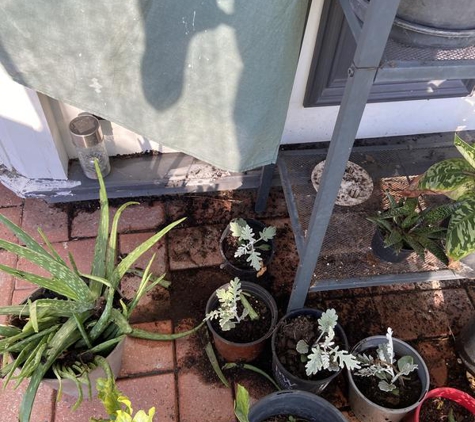 Beyond 2000 Pest Control - Narangba, QLD
