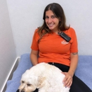 Petlover Central - Hostels