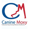 Canine Moxy gallery