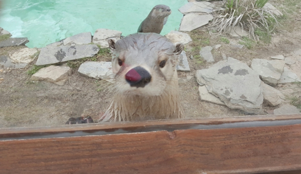 Emerald Coast Wildlife Refuge Zoological Park - Crestview, FL