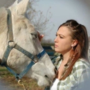Cimarron Winds Equestrian Services - Farms