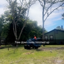 Big Fish & Little Fish Tree and Lawn Service - Travel Agencies