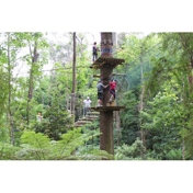 Gallery Image Number 7