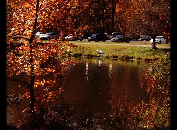 Wood Dale Park - Woodcliff Lake, NJ