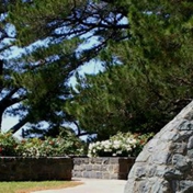 Gallery Image Number 4