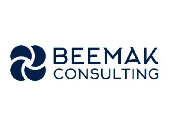 Beemak Consulting - Atlanta, GA