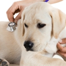 Affordable Veterinary Services - Veterinarians