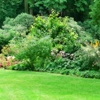 Ashley Lawn and Garden gallery