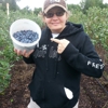 Lake Catherine Blueberries gallery