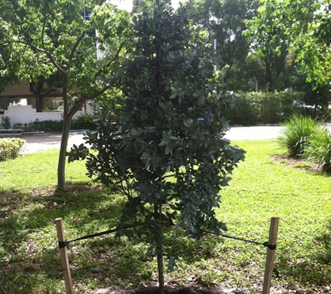 Reynelvy Landscaping Inc. - Miami, FL