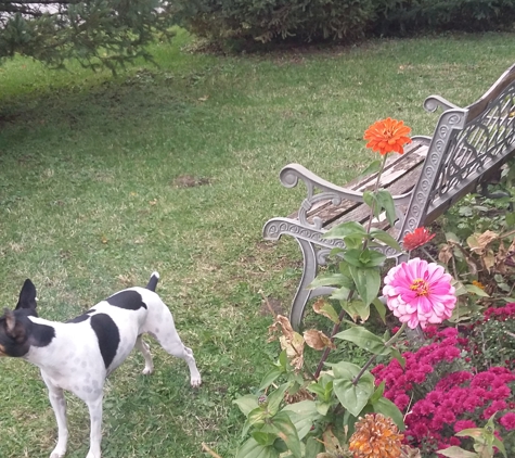 Linda's Poochie Parlor - Hermantown, MN. Love flowers!