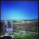 Wood Family Vineyards & Winery - Wine