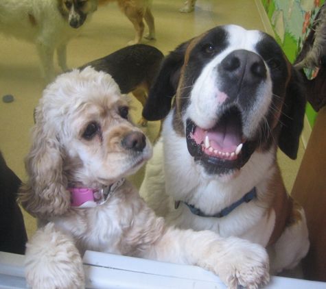 Orrville Pet Spa & Resort - Orrville, OH