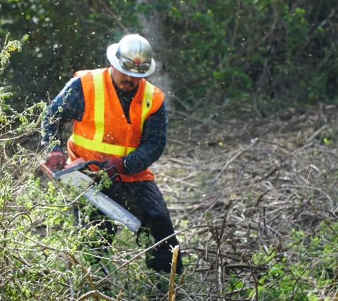 Tope's Tree Service - Salinas, CA