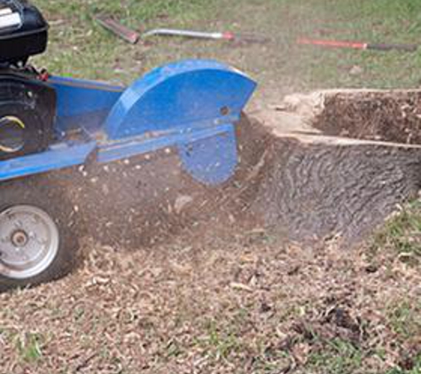 Larry's Tree Care - Stockton, CA