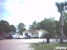 Premier Tree Service - Tree Service