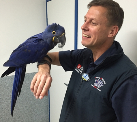 Duncan McGinness Veterinary Surgeon - Dubbo, NSW
