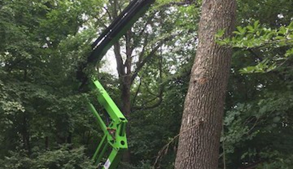 Tree Guys Of Iowa City Corridor - North Liberty, IA