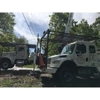 Action Tree Service gallery