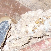 Gallery Image Number 3