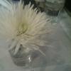 Sushi Hana Downtown gallery