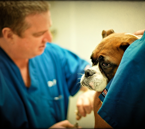 Tulsa General Veterinary Hospital - Tulsa, OK