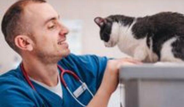 Animal Medical Center - Fountain Valley, CA