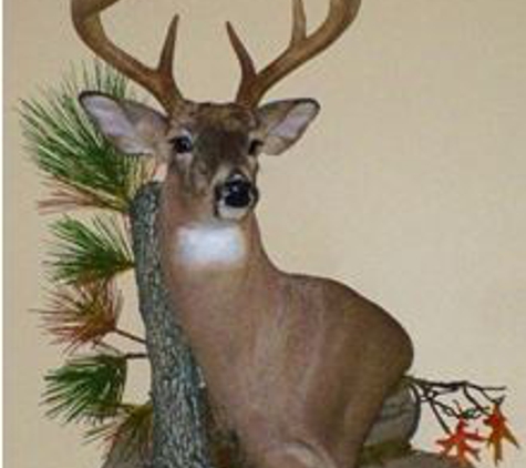 T & T Taxidermy - Sandyville, WV