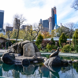 Central Park Zoo - New York, NY