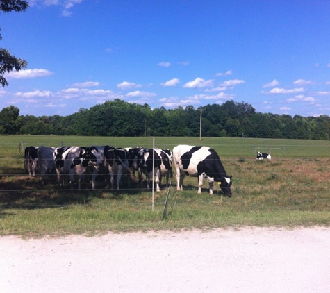 Happy Cow Creamery - Pelzer, SC