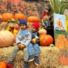 Piedmont Avenue Pumpkin Patch gallery