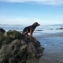 Fort Funston National Park - National Parks