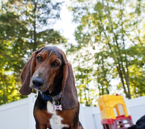 Shoreline Pet Lodge - Branford, CT