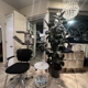 Lavish Salon & Spa