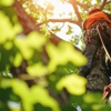 Reynolds & Sons Tree Service gallery