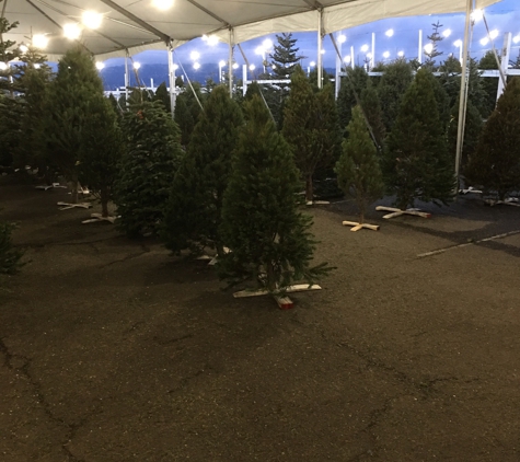 Brent's Christmas Trees - Oakland, CA