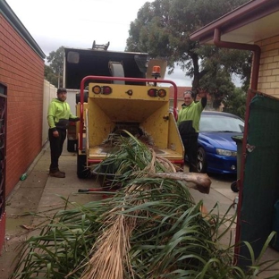CTL Services - Tree Removal Adelaide - Norwood, SA. The Professionals