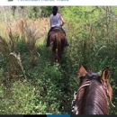 American Horse Trail - Horse Rentals