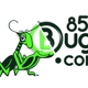 855bugs.com of Central Texas