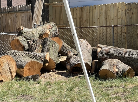 Arnold's Tree Service - Holley, NY. Mess they left in Greece, NY 2 weeks ago