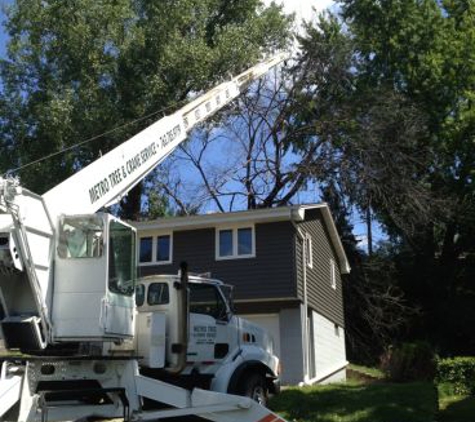 Metro Tree & Stump Service - Blaine, MN